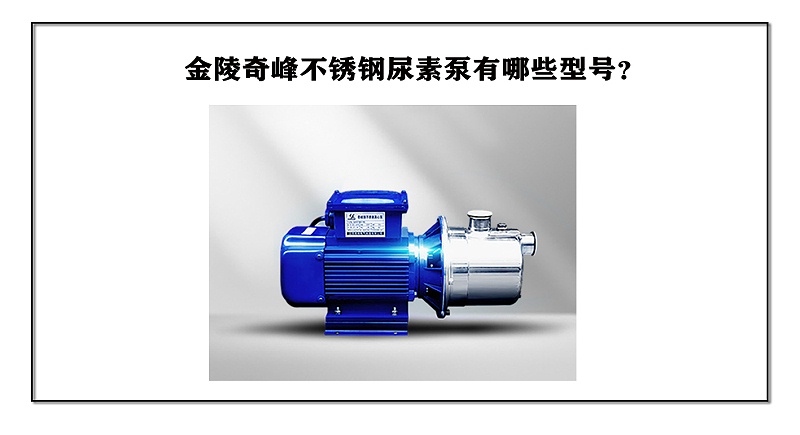 金陵奇峰不銹鋼尿素泵有哪些型號？